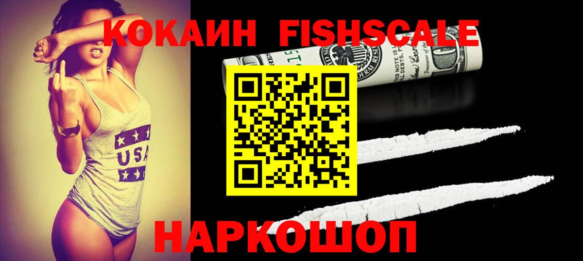 COCAIN Fish Scale  Вход с VPN  COCAIN  Ижевск 