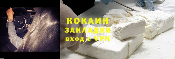 стаф Киренск