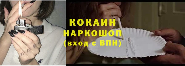 стаф Киренск