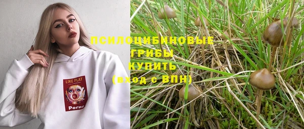 стаф Киренск