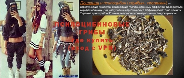 стаф Киренск