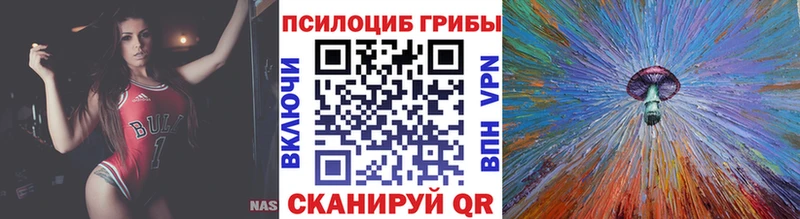 Псилоцибиновые грибы Psilocybe  цена наркотик  МЕГА как войти  Ижевск 