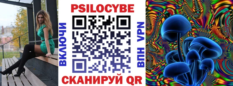 Галлюциногенные грибы Psilocybe Ижевск