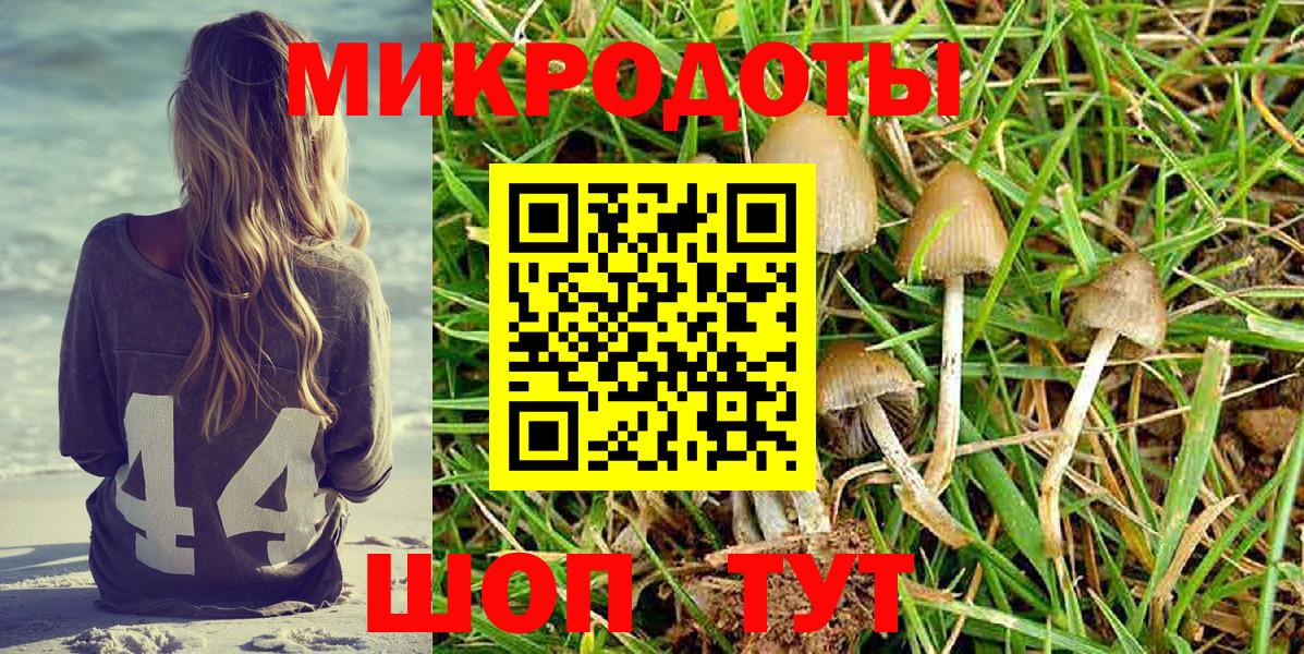 Псилоцибиновые грибы мицелий Ижевск